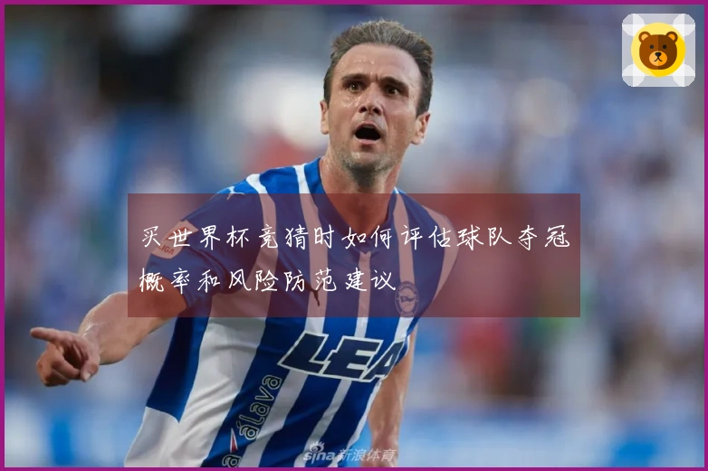 买世界杯竞猜时如何评估球队夺冠概率和风险防范建议