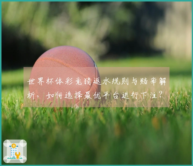 世界杯体彩竞猜返水规则与赔率解析，如何选择最优平台进行下注？