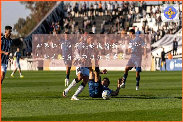世界杯下注网站的选择标准是什么？新手必看技巧与注意事项