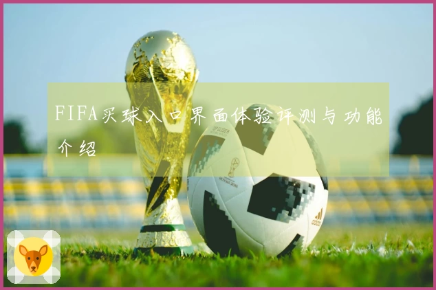 FIFA买球入口界面体验评测与功能介绍