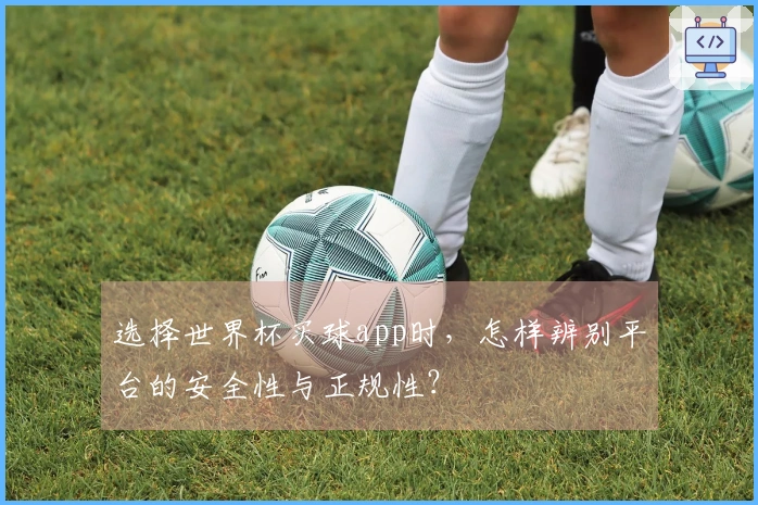 选择世界杯买球app时，怎样辨别平台的安全性与正规性？