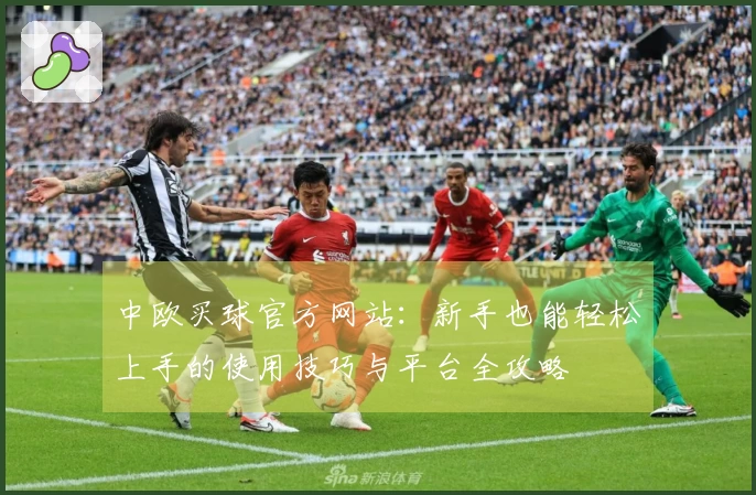 中欧买球官方网站：新手也能轻松上手的使用技巧与平台全攻略