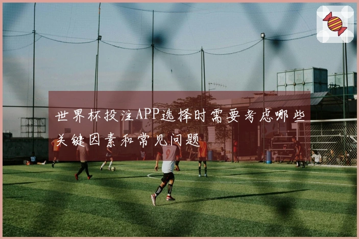 世界杯投注APP选择时需要考虑哪些关键因素和常见问题