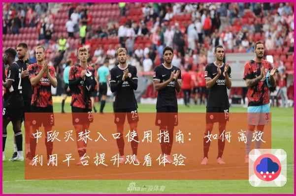 中欧买球入口使用指南：如何高效利用平台提升观看体验