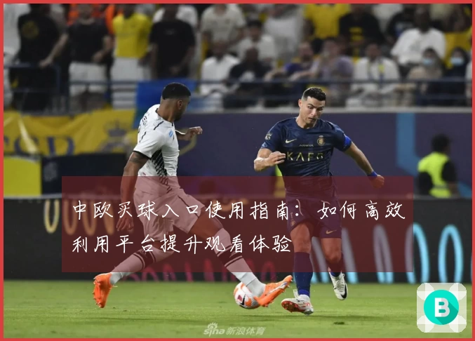 中欧买球入口使用指南：如何高效利用平台提升观看体验