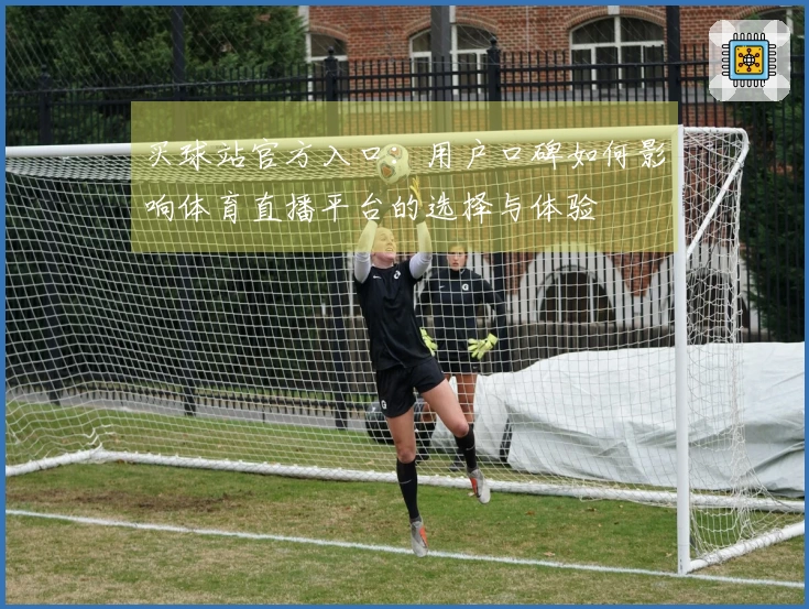 买球站官方入口：用户口碑如何影响体育直播平台的选择与体验