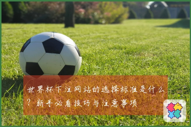 世界杯下注网站的选择标准是什么？新手必看技巧与注意事项