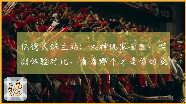 亿德买球主站：大神玩家亲测，实测体验对比，看看哪个才是你的菜