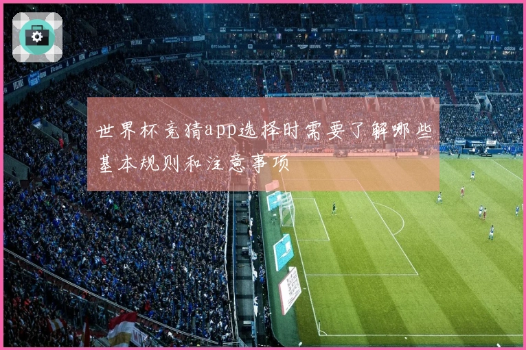 世界杯竞猜app选择时需要了解哪些基本规则和注意事项